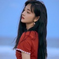 伤感情歌：多情的人总被无情的伤
