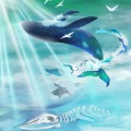 华语治愈：鲸落于海，我归于你