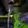古韵纯音：山水一般闲，净水润凡心