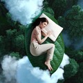 云端造梦：睡眠与爵士不请自来