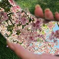浪漫Jazz◎帐篷里的爱情音乐