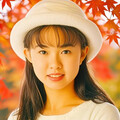 山地柔情怀旧 ：蝶儿满天飞 青山高流水长