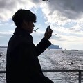 独处时光：抒怀人生情歌集锦