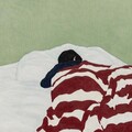 慵懒特供☽被窝里的安眠音符