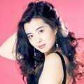 7080怀旧经典老歌｜忘不掉的回忆