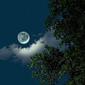 睡前｜温柔夜曲伴你入梦
