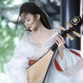 「典雅琵琶」穿越千年的情感乐章