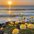 【浪漫弹奏】爵士乐中的温柔午后