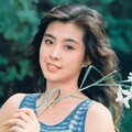 7080后经典老歌400首｜重温惜日情怀