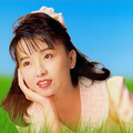 酒廊怀旧情歌 ：爱情像流星 春风满小城