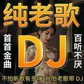 老歌带DJ｜劲爆土嗨、越听越有味