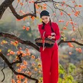 ［醉美陕北］展示淳朴风情的歌曲