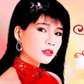 酒廊甜歌｜梨山痴情花昨夜星辰甜到齁