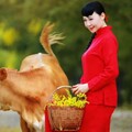 『抒情陕北』唱不尽的情深深
