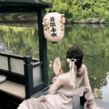 闲茶听筝｜茶室安神清心曲
