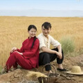 魅力陕北民歌丨歌声绕黄土，腔调满赤诚