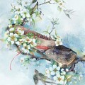 古筝曲丨高山流水遇知音