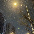 〈失眠日记〉城市角落的失恋旋律