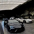 『坚挺旋律』无需克制的动感摇摆