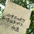 爱的轨迹：伤感与甜蜜交织