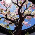 「甜蜜告白」给你的她最好的旋律