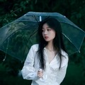 最爱的星光：温柔抚慰人心的歌声