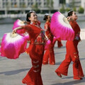 快乐广场舞：听鸟语闻花香，歌声亮情飞扬