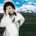 草原甜蜜：温情满满的爱曲