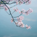 流水琴音伴清欢｜古筝雅致治愈轻音乐精选