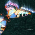 「迷离R&B」朦胧氛围下的暧昧情歌