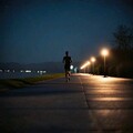 『独处时光』抒情伤怀的温柔旋律