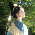 养生音乐：幽林曲韵享清宁