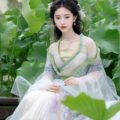 国风餐厅清雅纯音乐 古筝古风曲 餐饮门店专用