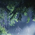音乐助跑｜陪你挥洒汗水的动感旋律
