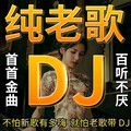 车载典藏DJ丨劲爆节奏，越老越上头！