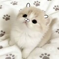 〈失恋旋律〉情歌回响在每个角落