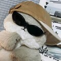 [摸鱼专用]纯音乐合集
