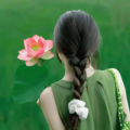 古风养生音乐：禅音静心 缓解焦虑