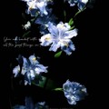 精选欧美R&B | 享受灵魂转音