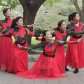 舞动梦想：广场舞追逐精彩