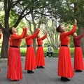 广场舞｜欢乐氛围舞动人生