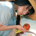 夏隅晚风｜柔光小清新阳光轻音
