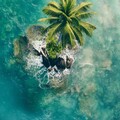 【夏日海风】清新旋律