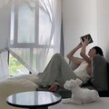 〈伤感乐章〉R&B中的柔情与感伤