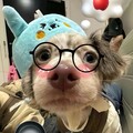 生活乐章｜行走城市间的美好音符
