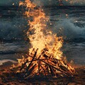 「寂静治愈」唤醒内心深处的平静
