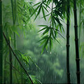 雨声助眠丨原生态的声音 舒缓解压深度好眠