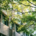 『独处时光』抒情悲歌精选
