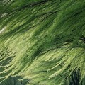 森系治愈 | 放轻松 就当漫游地球