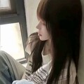 『失恋抒情』歌曲中的爱情伤痛与疗愈